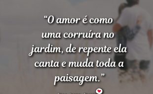 Frases de Amor - O amor é como uma corruíra no.