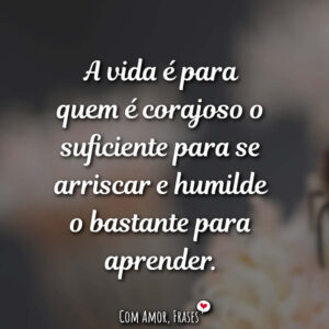 A vida é para…
