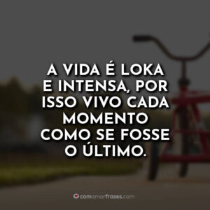 A vida é loka