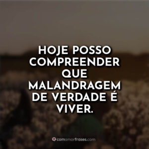 Hoje posso compreender