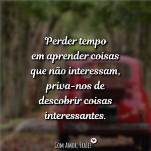 Perder tempo em aprender