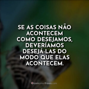 Se as coisas não