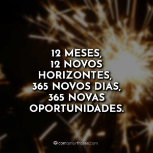 12 meses 12 novos