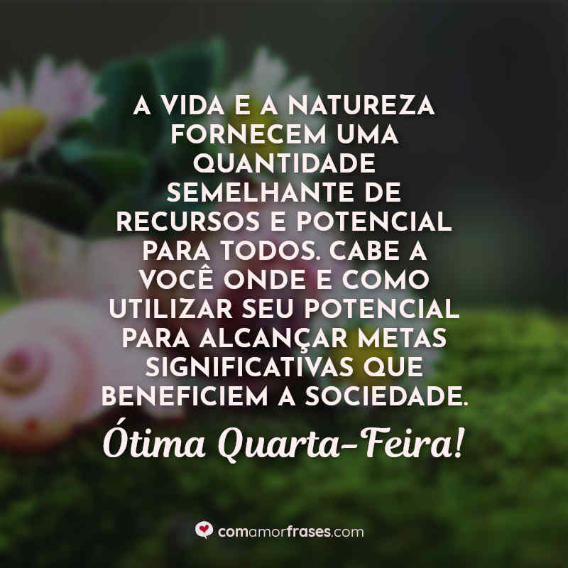 Frases de Quarta Feira: A vida e a natureza.