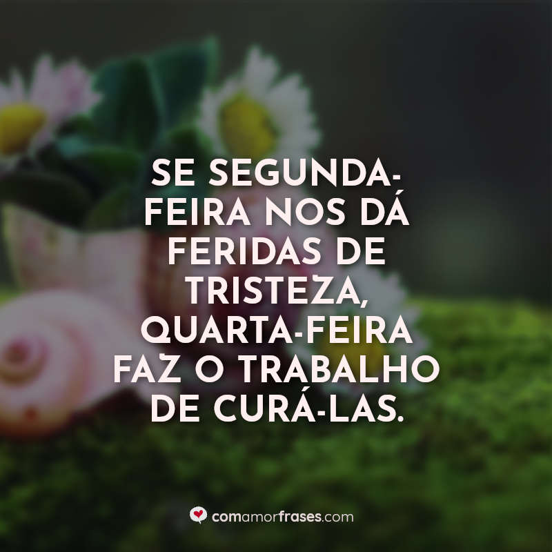 Frases de Quarta Feira: Se segunda-feira.