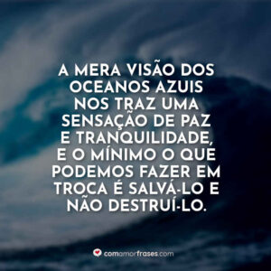 A mera visão dos oceanos azuis nos traz uma sensação de paz e tranquilidade, e o mínimo o que podemos fazer em troca é salvá-lo e não destruí-lo.