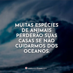 Muitas espécies de animais perderão suas casas se não cuidarmos dos oceanos.