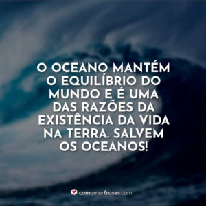O oceano mantém o equilíbrio do mundo e é uma das razões da existência da vida na Terra. Salvem os oceanos!