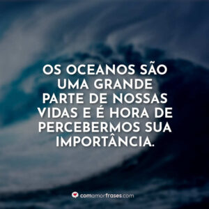 Os oceanos são uma grande parte de nossas vidas e é hora de percebermos sua importância.
