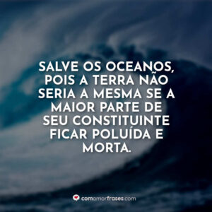 Salve os oceanos, pois a Terra não seria a mesma se a maior parte de seu constituinte ficar poluída e morta.