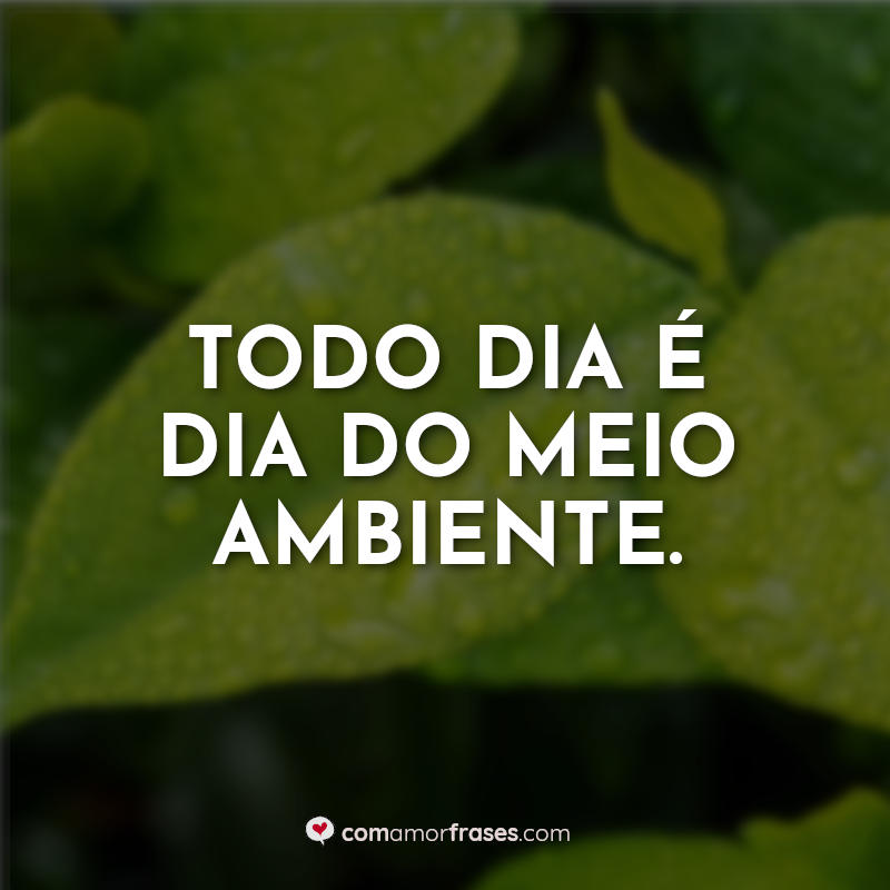 Todo Dia Dia Do Meio Ambiente Com Amor Frases