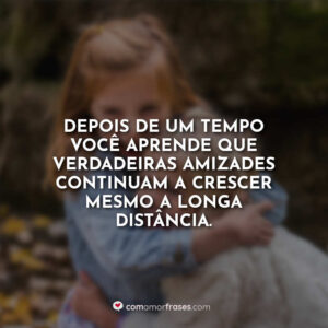 Depois de um tempo você aprende que verdadeiras amizades continuam a crescer mesmo a longa distância.