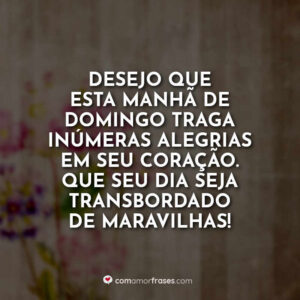 Desejo que esta manhã de domingo traga inúmeras alegrias em seu coração. Que seu dia seja transbordado de maravilhas!