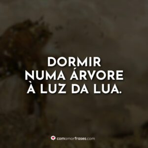 Dormir numa árvore à luz da lua.