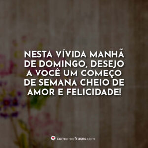 Nesta vívida manhã de domingo, desejo a você um começo de semana cheio de amor e felicidade!