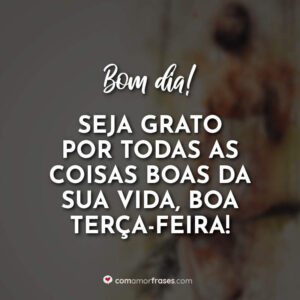Bom dia! Seja grato por todas as coisas boas da sua vida, boa terça-feira!