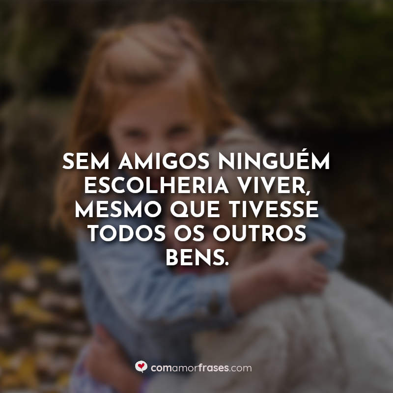 Frases de Amizade para Foto: Sem amigos.