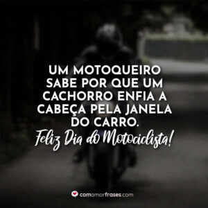 Um motoqueiro sabe por que um cachorro enfia a cabeça pela janela do carro. Feliz Dia do Motociclista!