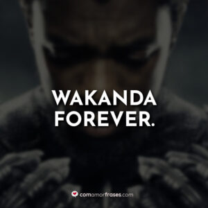 Wakanda forever.