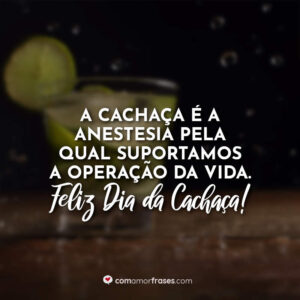 A cachaça é a anestesia pela qual suportamos a operação da vida. Feliz Dia da Cachaça!