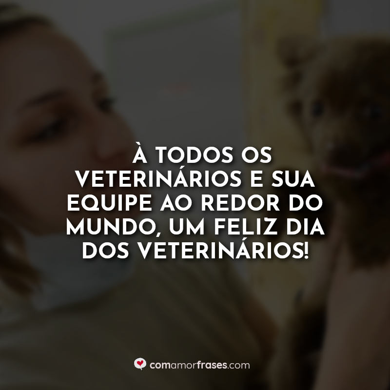 Frases do Dia do Veterinário: À todos os veterinários.