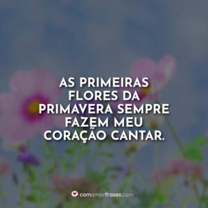 As primeiras flores da primavera sempre fazem meu coração cantar.