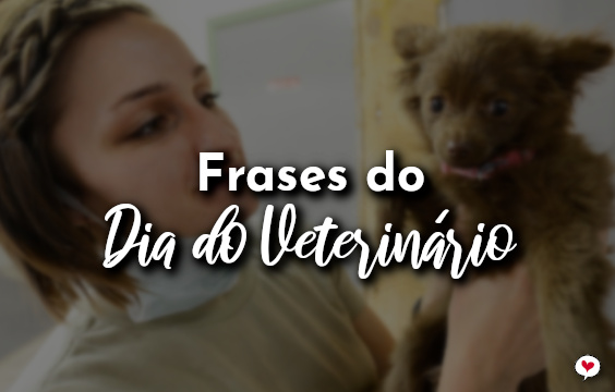 Frases do Dia do Veterinário - 9 de Setembro - Com Amor, Frases