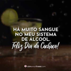 Há muito sangue no meu sistema de álcool. Feliz Dia da Cachaça!