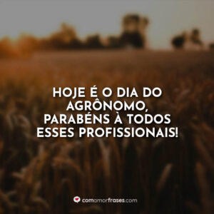 Hoje é o dia do Agrônomo, parabéns à todos esses profissionais!