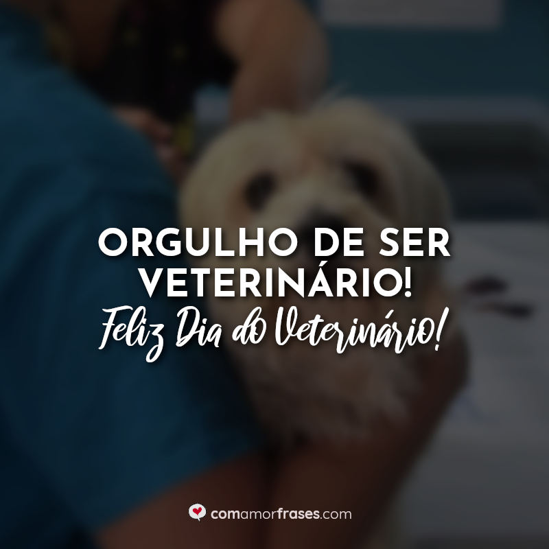 Frases do Dia Veterinário: Orgulho de ser veterinário.