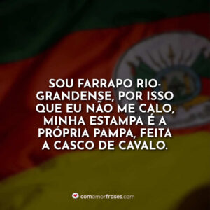 Sou farrapo rio-grandense, por isso que eu não me calo, minha estampa é a própria pampa, feita a casco de cavalo.