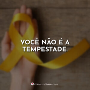 Você não é a tempestade.