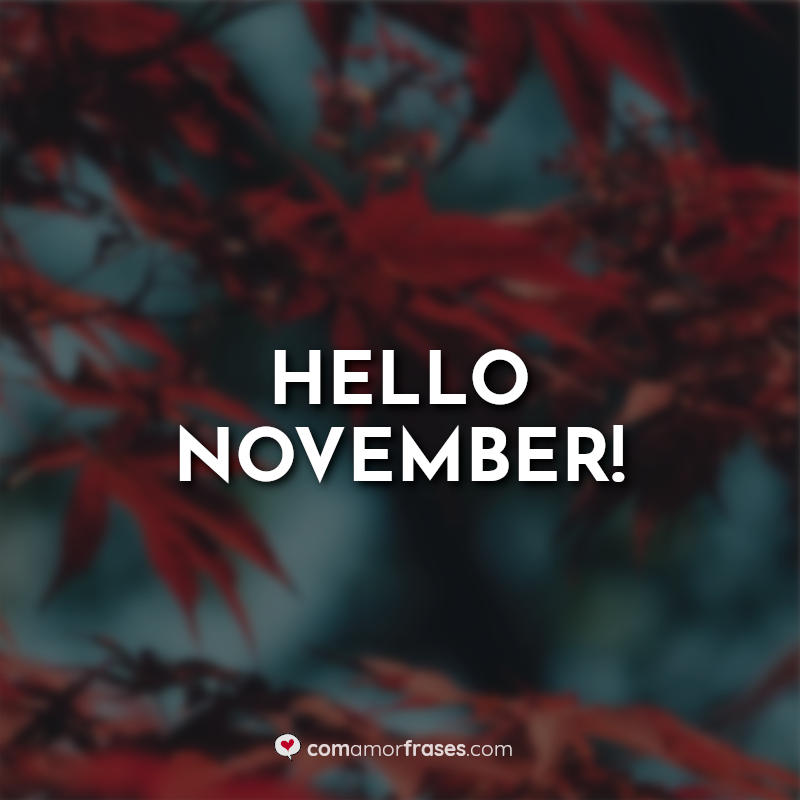 Frases Bem vindo Novembro: Hello November.