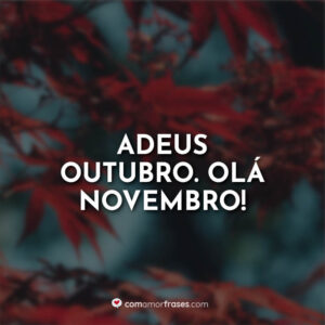 Adeus Outubro. Olá Novembro!