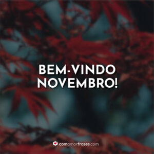 Bem-vindo Novembro!