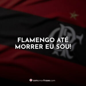 Flamengo até morrer eu sou!