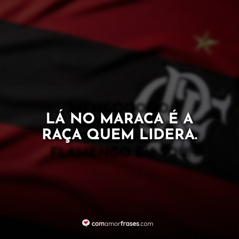 Frases do Flamengo: Lá no Maraca.