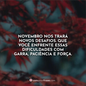 Novembro nos trará novos desafios. Que você enfrente essas dificuldades com garra, paciência e força.