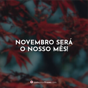 Novembro será o nosso mês!