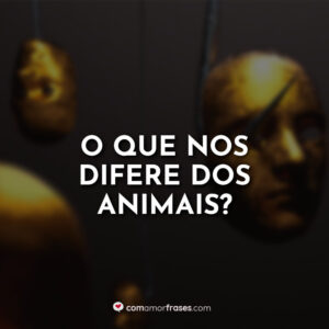 O que nos difere dos animais?