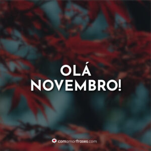 Olá Novembro!