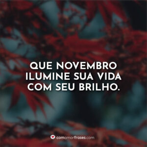 Que novembro ilumine sua vida com seu brilho.