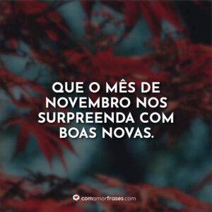 Que o mês de novembro nos surpreenda com boas novas.