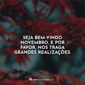 Seja bem-vindo novembro, e por favor, nos traga grandes realizações.
