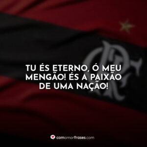 Tu és eterno, ó meu Mengão! És a paixão de uma nação!