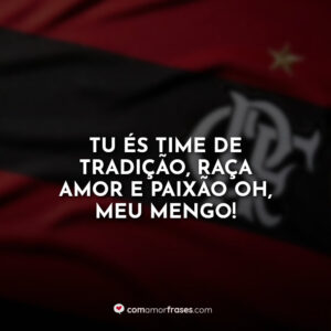 Tu és time de tradição, raça amor e paixão oh, meu Mengo!