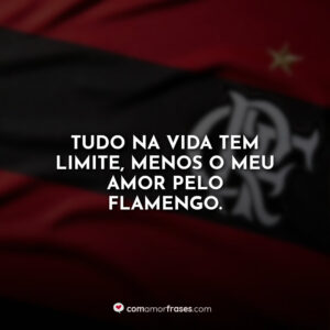 Tudo na vida tem limite, menos o meu amor pelo Flamengo.