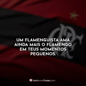 Um Flamenguista ama ainda mais o Flamengo em teus momentos pequenos.