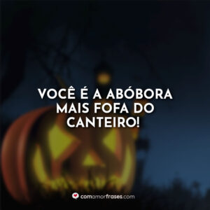 Você é a abóbora mais fofa do canteiro!