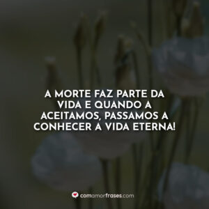 A morte faz parte da vida e quando a aceitamos, passamos a conhecer a vida eterna!